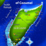 Diving In Cozumel Now Better Than Ever International Advertising