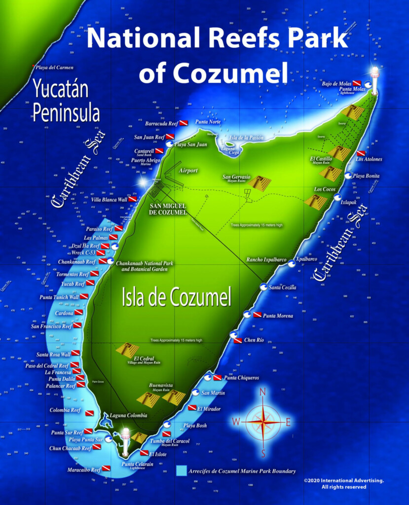 Diving In Cozumel Now Better Than Ever International Advertising 