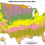 Garden Planting Hardiness Zones By US State