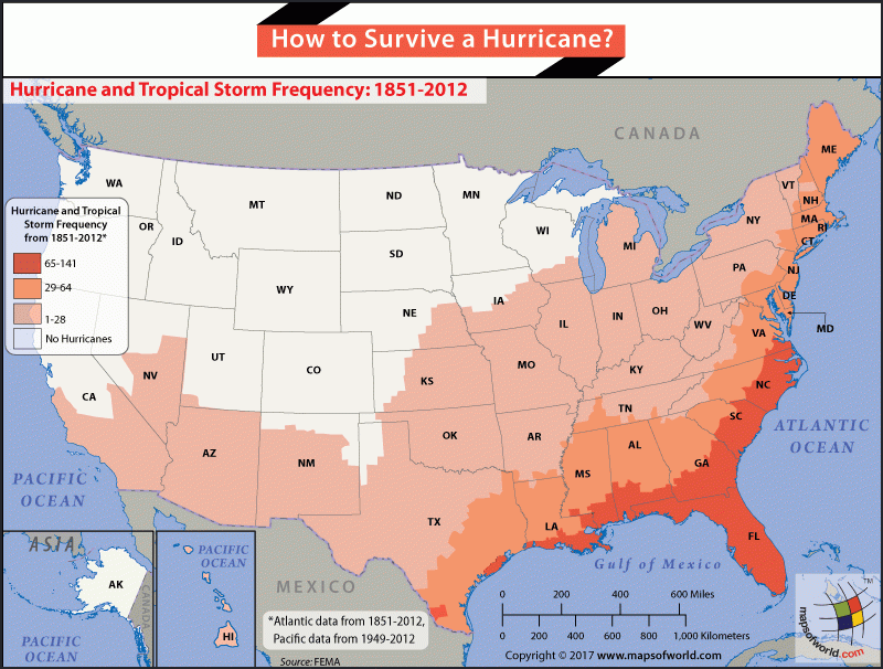 How To Survive A Hurricane Answers