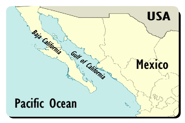 35 Gulf Of California Map Maps Database Source