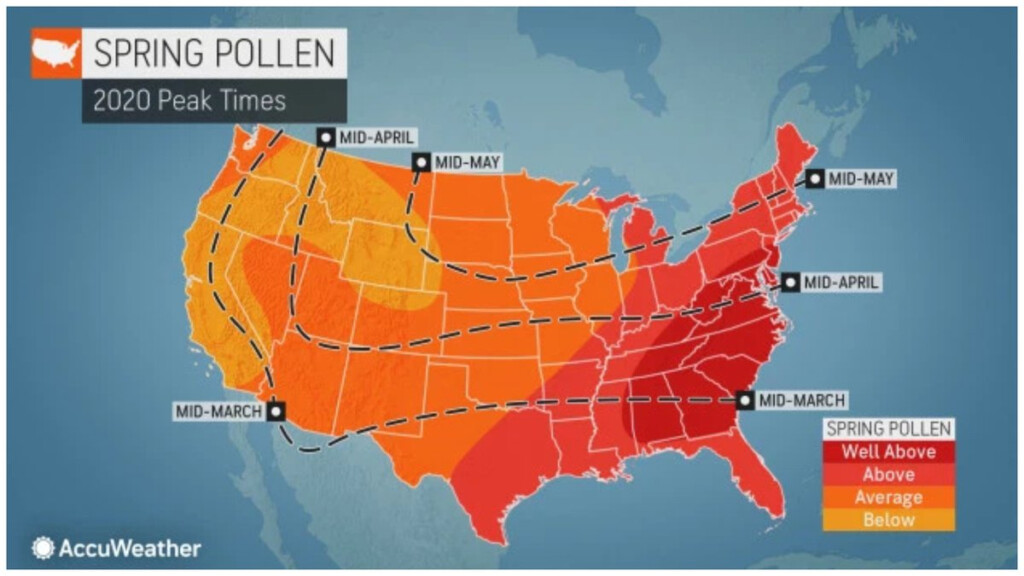 AccuWeather Large Portion Of U S To Face Brutal Allergy Season This 