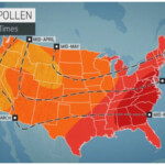 AccuWeather Large Portion Of U S To Face Brutal Allergy Season This