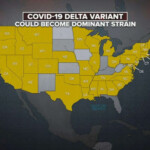 CDC Director Warns Delta Variant Could Soon Become Dominant Coronavirus