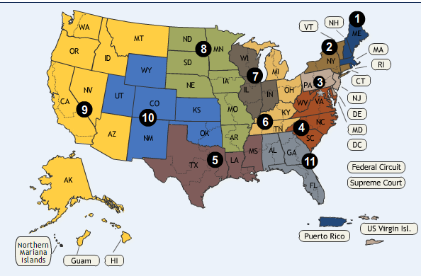 Copyright Litigation Blog Federal Circuit Courts Of Appeal And 