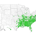 Distribution Of Kudzu In The United States Invasive Species Species