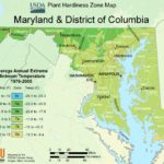 District Of Columbia Plant Hardiness Zone Map Mapsof