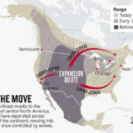 Here s Why You Should Hunt Coyotes How To Get Started Times To Hunt