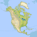 North America Continent Facts For Kids DK Find Out