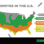 Termite Distribution In USA State By State Know If You Are Moving
