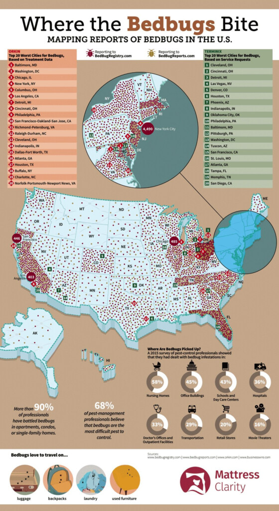 The Worst US States For Bedbugs