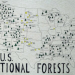 U S National Forests Map Etsy