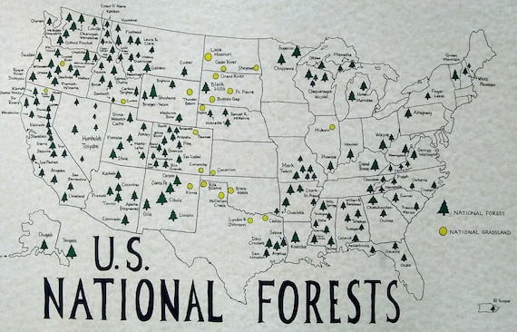 U S National Forests Map Etsy