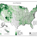 United States Forests The Past And Present