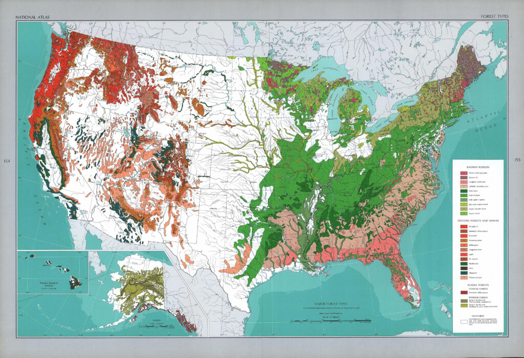 USA Major Forest Types Landscape Drawings Types Of Forests Map