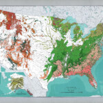 USA Major Forest Types Landscape Drawings Types Of Forests Map