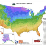 USDA Hardiness Zone Map Info For Plant Health And Vitality